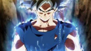 Dragon Ball Super: 1×110