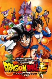 Dragon Ball Super: Temporada 1