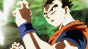 Dragon Ball Super: 1×120